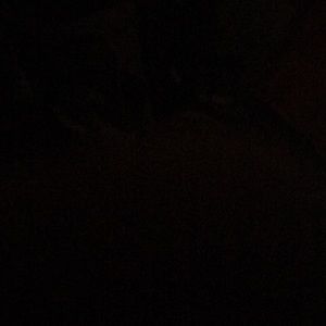 Meet your Posher, Jesus